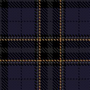 Brighton & Hove Dress Tartan